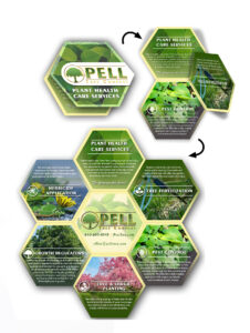 Pell Brochuragami MOCKUPS copy