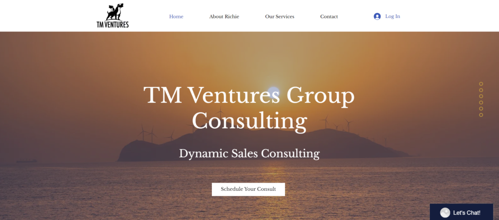TM Ventures Group - Award Winning Website - Dynamic Wave Consulting Philadelphia, PA