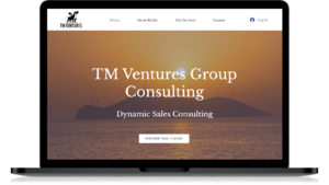 TM Ventures Group; Dynamic Wave Consulting Responsive, Award-Winning Wix Classic Financial & Sales Consulting Website Design - Philadelphia, PA